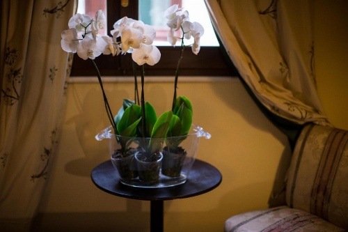 B&B Charme Celestino V° image 9